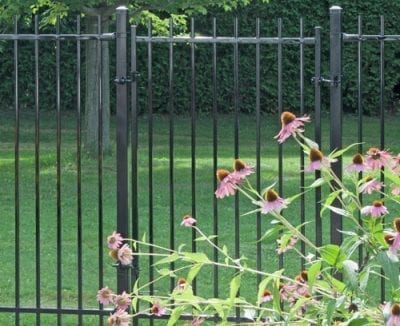Iron fencing and gate