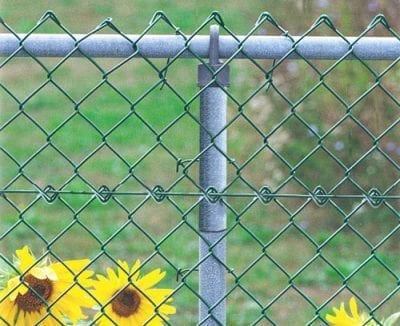 Chain link fence with sunflowers